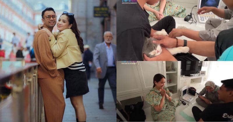 Hamil 2 Minggu, 9 Foto Nagita Slavina Cek Kehamilan Kucingnya